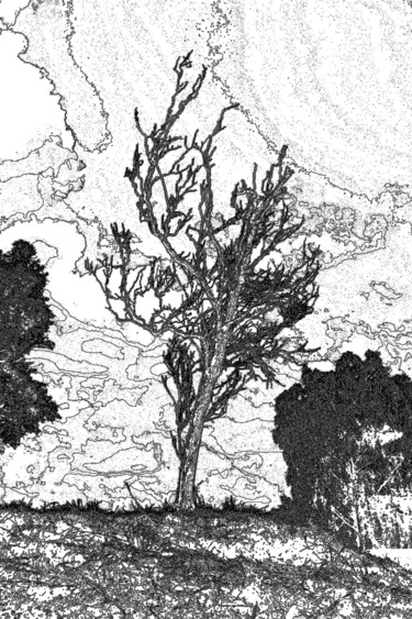 Digital Arts titled "L'arbre dénudé" by René Desenne, Original Artwork, Other