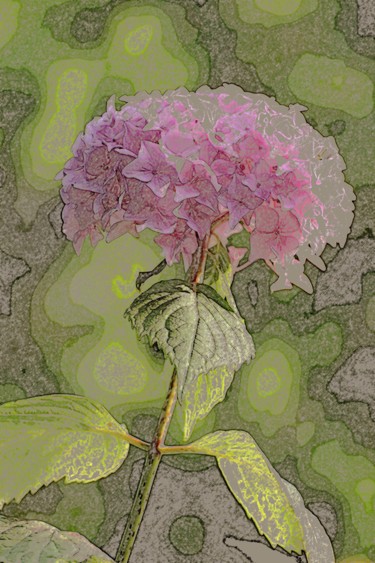 Digital Arts titled "La fleur d'hortensia" by René Desenne, Original Artwork, Other