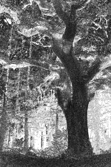 Digitale Kunst getiteld "La forêt des mystèr…" door René Desenne, Origineel Kunstwerk, Anders