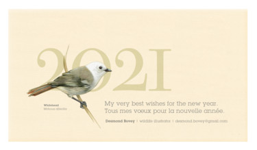 Peinture intitulée "Happy new year / Bo…" par Desmond Bovey, Œuvre d'art originale, Aquarelle