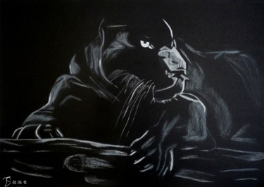 Drawing titled "Black panther" by Les Dessins De Sébastien, Original Artwork, Other