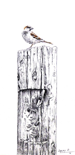 Tekening getiteld "Piaf au pieu" door Pierre Fabry, Origineel Kunstwerk, Inkt