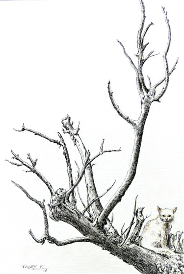 Drawing titled "Chat perché" by Pierre Fabry, Original Artwork, Ink