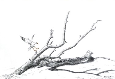 Disegno intitolato "Atterrissage sur bo…" da Pierre Fabry, Opera d'arte originale, Inchiostro