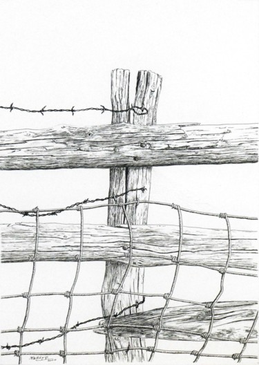 Dibujo titulada "Barrière triplée" por Pierre Fabry, Obra de arte original, Tinta