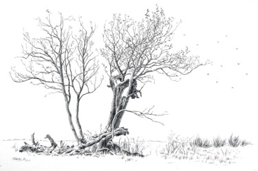 Dessin intitulée "Vent d'automne" par Pierre Fabry, Œuvre d'art originale, Encre