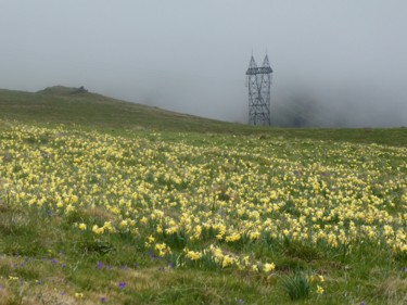 Fotografia zatytułowany „Dans le brouillard” autorstwa Pierre Fabry, Oryginalna praca, Fotografia nie manipulowana