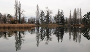 Fotografia intitulada "Reflets sur un lac" por Pierre Fabry, Obras de arte originais, Fotografia digital