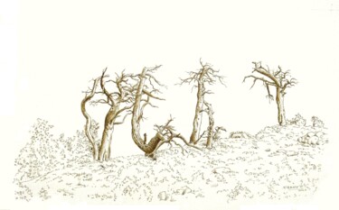 Desenho intitulada "Sur la crëte" por Pierre Fabry, Obras de arte originais, Tinta