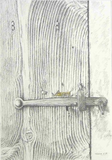 Dessin intitulée "Le criquet sur le l…" par Pierre Fabry, Œuvre d'art originale, Autre