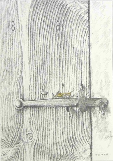 Tekening getiteld "Le criquet sur le l…" door Pierre Fabry, Origineel Kunstwerk, Anders