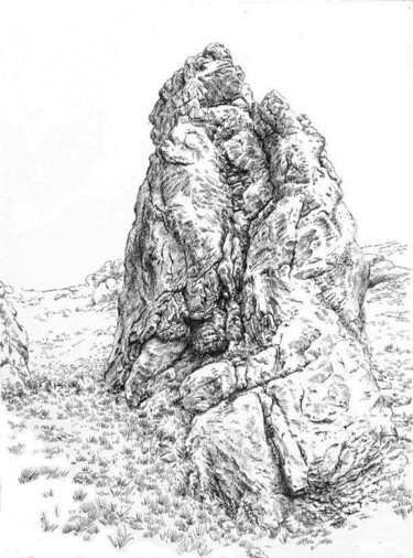 Drawing titled "Denticule de l'Oeil…" by Pierre Fabry, Original Artwork, Ink