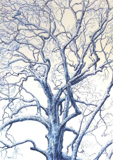Drawing titled "arbre-bleu" by Pierre Fabry, Original Artwork, Ink