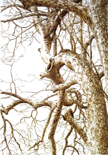 Drawing titled "Arbre brun" by Pierre Fabry, Original Artwork, Ink