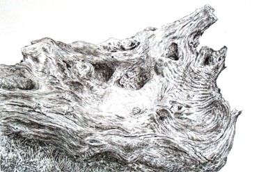 Drawing titled "Gastéropode sur sou…" by Pierre Fabry, Original Artwork, Ink