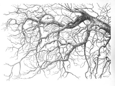 Drawing titled "Arbre noir" by Pierre Fabry, Original Artwork, Ink