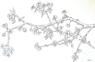 Dessin intitulée "Cerises à venir" par Pierre Fabry, Œuvre d'art originale, Encre