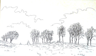 Drawing titled "Horizon-defeuillu" by Pierre Fabry, Original Artwork, Ink