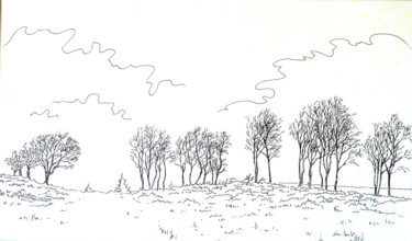 Dessin intitulée "Horizon-defeuillu" par Pierre Fabry, Œuvre d'art originale, Encre