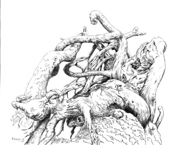 Drawing titled "Tromperies" by Pierre Fabry, Original Artwork, Ink