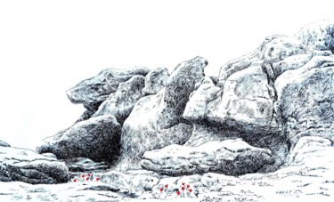 Dessin intitulée "Coquelicots en rocs" par Pierre Fabry, Œuvre d'art originale, Encre