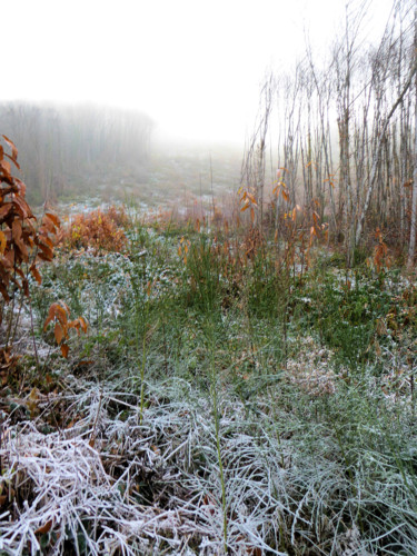 Fotografie getiteld "Temps du givre" door Pierre Fabry, Origineel Kunstwerk