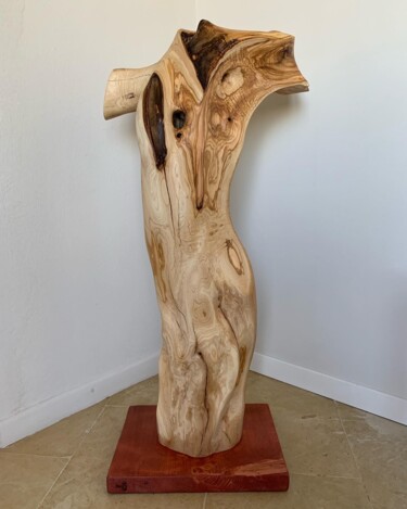 Sculptuur getiteld "Trasformazione" door Deusmou, Origineel Kunstwerk, Hout