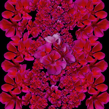 Collages intitulée "Garden of beautiful…" par Pepita Selles, Œuvre d'art originale, Photographie numérique
