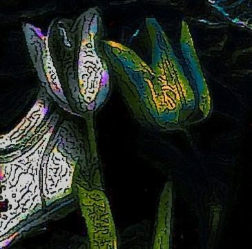 Digital Arts titled "tulips" by Pepita Selles, Original Artwork, Other