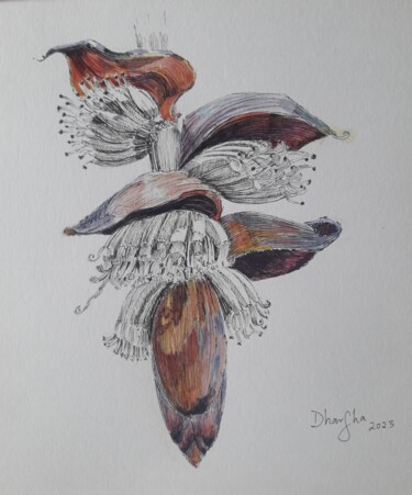 绘画 标题为“Banana Flower in pe…” 由Dharsha Samarasinha, 原创艺术品, 墨
