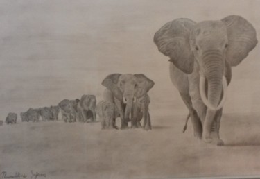 Desenho intitulada "branco di elefanti" por Nordin, Obras de arte originais, Lápis