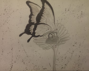 Disegno intitolato "farfalla" da Nordin, Opera d'arte originale, Matita