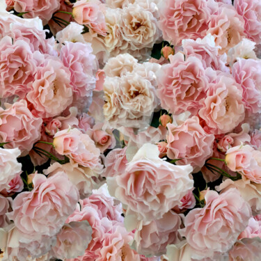 Photography titled "Romantic pink rose…" by Diana Editoiu, Original Artwork, Digital Photography