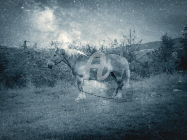 Digitale Kunst mit dem Titel "Vintage cosmic silv…" von Diana Editoiu, Original-Kunstwerk, Fotomontage