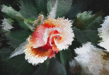 Fotografie getiteld "Coral rose explosion" door Diana Editoiu, Origineel Kunstwerk, Digitale fotografie