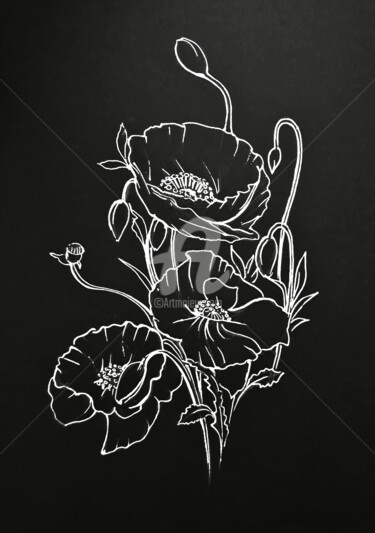 Drawing titled "Poppy bouquet" by Diana Editoiu, Original Artwork, Ink