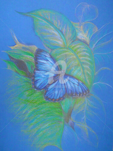 Disegno intitolato "Royal blue butterlfy" da Diana Editoiu, Opera d'arte originale, Matita