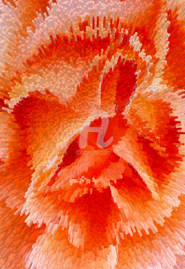 Fotografie getiteld "Passionate orange r…" door Diana Editoiu, Origineel Kunstwerk, Digitale fotografie