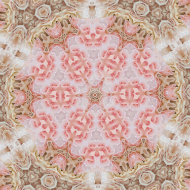 Digital Arts titled "Pink roses overlay…" by Diana Editoiu, Original Artwork, Manipulated Photography