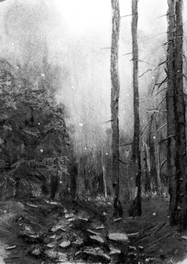 Drawing titled "Der Weg durch Wald…" by Diana Knepper, Original Artwork, Charcoal