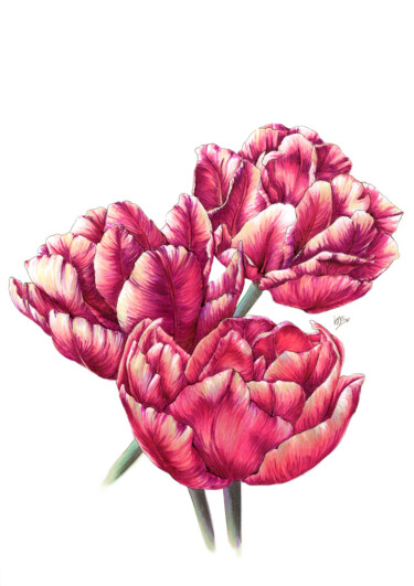 Tekening getiteld "Lush peonies" door Diana Rode, Origineel Kunstwerk, Marker