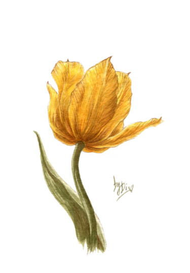 Malerei mit dem Titel ""The Samples". Tulip" von Diana Rode, Original-Kunstwerk, Aquarell