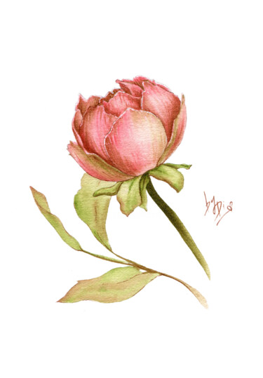 Painting titled ""The Samples". Peony" by Diana Rode, Original Artwork, Watercolor