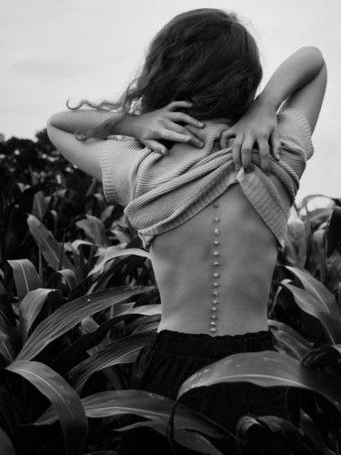 Back - from CORN series - limited edition of 15 - photo Photographie intitulée "Back - from CORN se…" par Diana Kondra, Œuvre d'art originale, Photographie numérique
