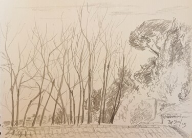 Drawing titled "Arbres d'hiver et t…" by Diane Medus, Original Artwork, Pencil