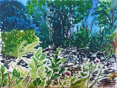 Peinture intitulée "La rivière aux Dése…" par Diane Medus, Œuvre d'art originale, Aquarelle