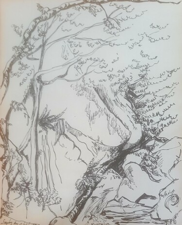 Zeichnungen mit dem Titel "Le saut du Chalard…" von Diane Medus, Original-Kunstwerk, Tinte