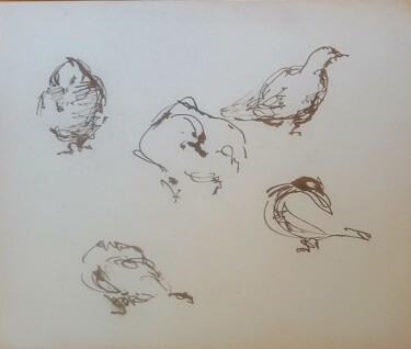 Disegno intitolato "Pigeons, Paris, 26…" da Diane Medus, Opera d'arte originale, Inchiostro