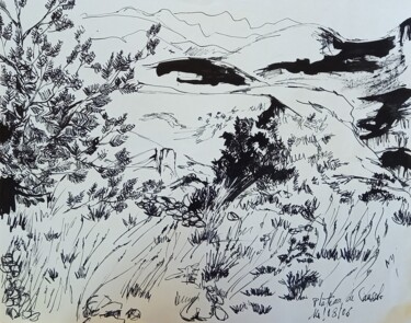 Drawing titled "Plateau de Caussols…" by Diane Medus, Original Artwork, Ink