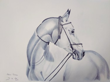 Dessin intitulée "Cheval Akhal - Téké" par Dianederh, Œuvre d'art originale, Crayon